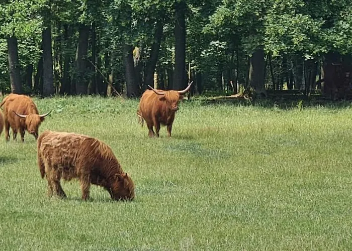 Makarovo-depoltovice